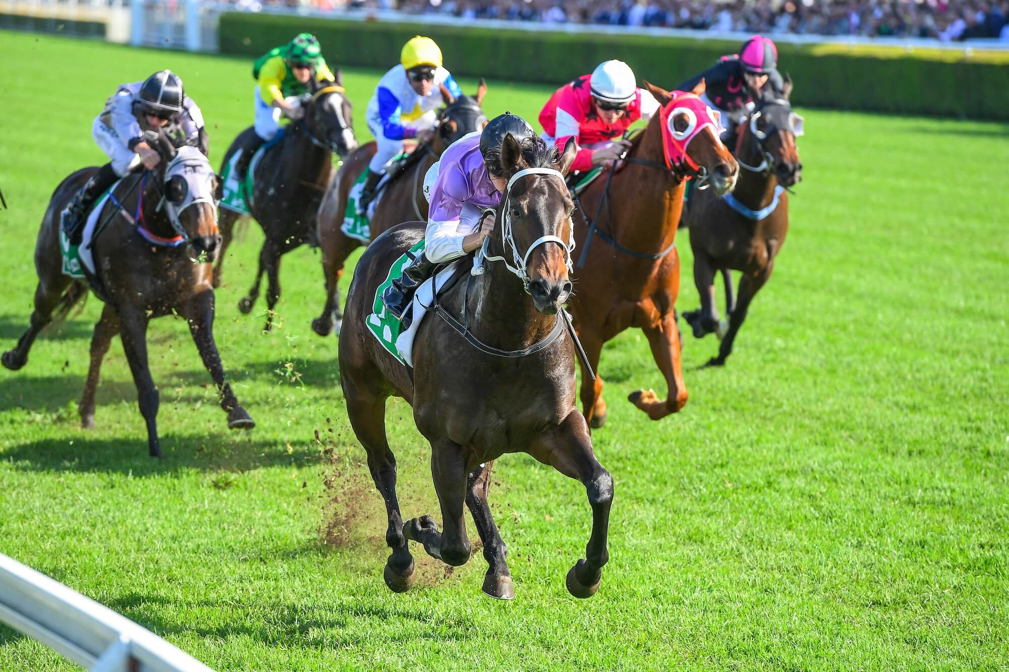 Royal Ascot horse racing